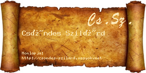 Csöndes Szilárd névjegykártya